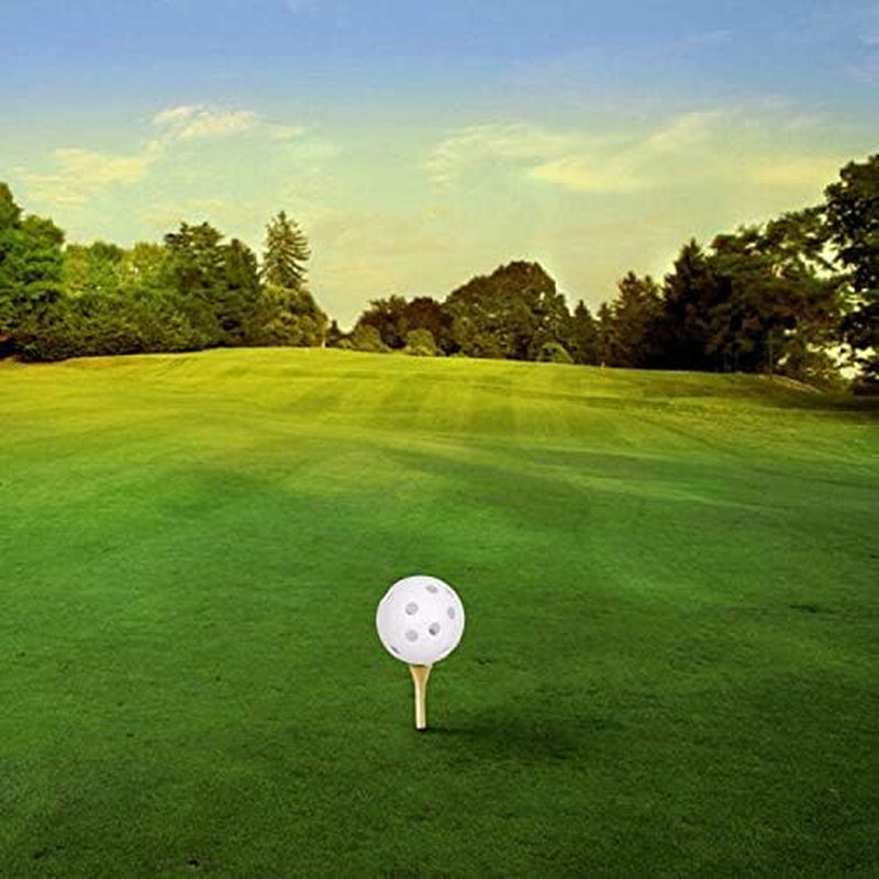 100 Pack Plastic Golf Training Balls with 2 Golf Ball Tees– Airflow Hollow Golf Balls for Indoor Putting Green, Backyard Outdoor Practice Equipment