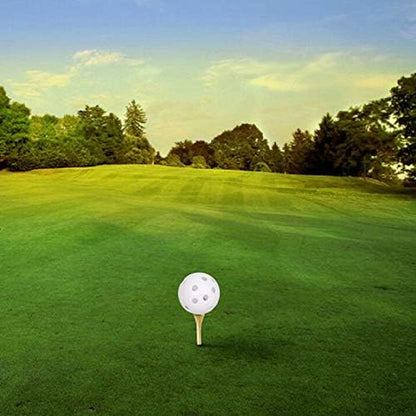 100 Pack Plastic Golf Training Balls with 2 Golf Ball Tees– Airflow Hollow Golf Balls for Indoor Putting Green, Backyard Outdoor Practice Equipment